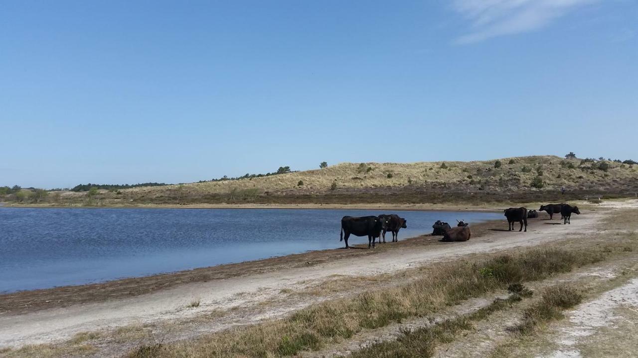Vakantiehuis Duin Bos En Zee Schoorl Eksteriør bilde